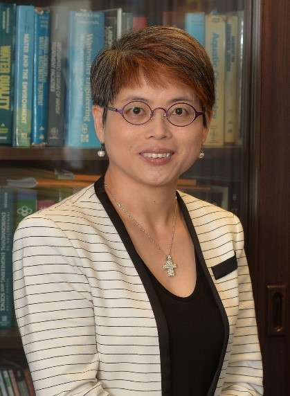 Ir Prof Irene M. C. LO