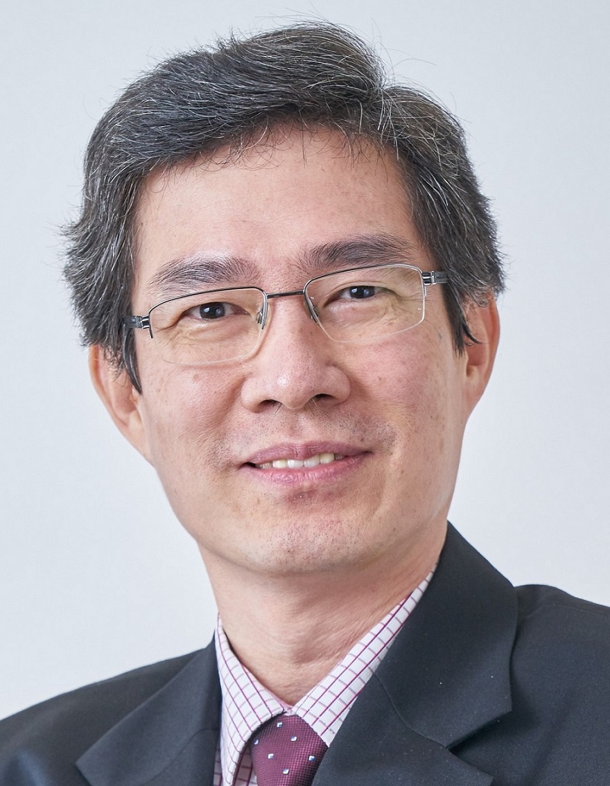 Prof. Teik-Thye Lim