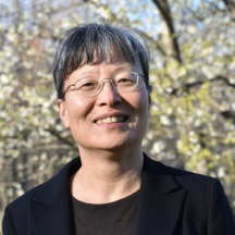 Dr. Lixin Gao, Distinguished Professor
